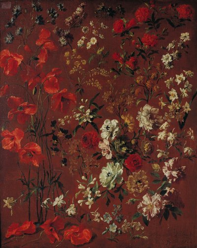 Étude de fleurs, 1720 - Hyacinthe Francois Rigaud